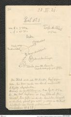 Seite 22, Tagebuch "Umgebung von Mistelbach | Poysdorf | Schanzleiten" (NHMW-PRAE-BBB-25)